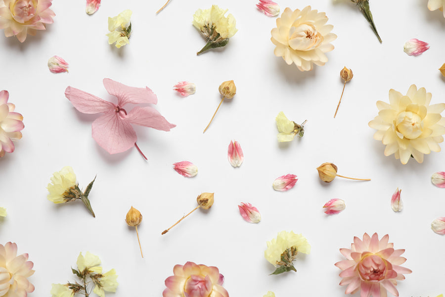 Preserved vs. Fresh Flowers: Which is Right for You? – Hello Flowers ...