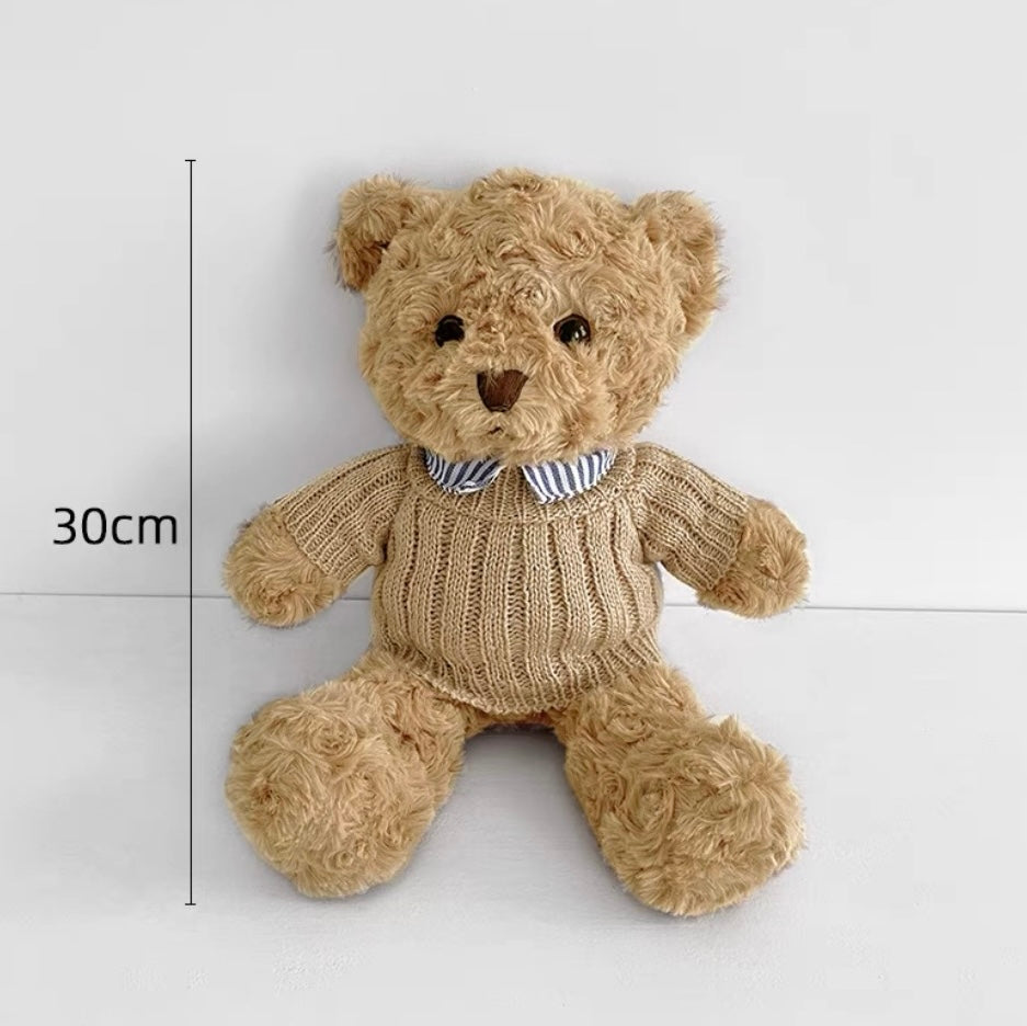 Add Ons: Teddy Bear (~30cm)