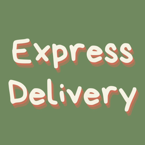 Express Delivery